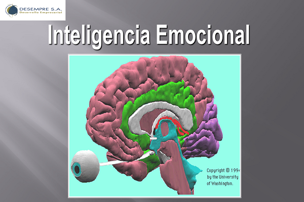 Seminario – Seminario de Inteligencia Emocional y Liderazgo