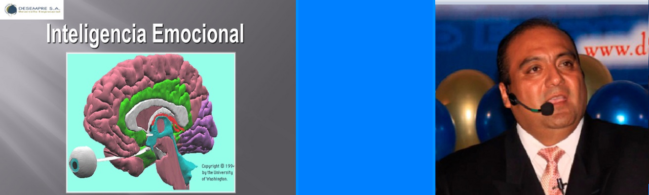 Seminario – Seminario de Inteligencia Emocional 